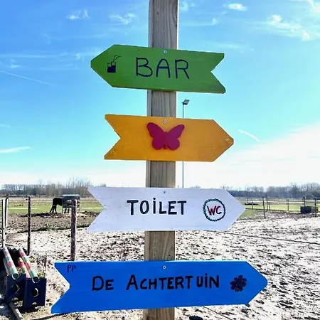 Ontwaken Tussen De Paarden Bed & Breakfast Zoutleeuw