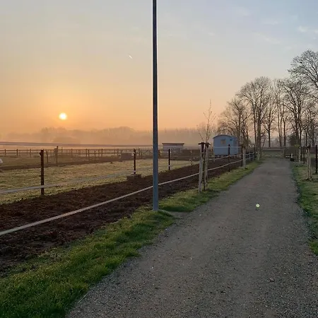 Ontwaken Tussen De Paarden Bed & Breakfast Zoutleeuw