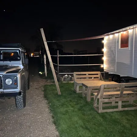 Ontwaken Tussen De Paarden