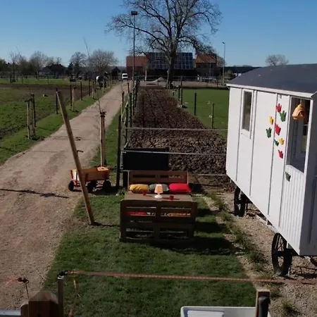 Ontwaken Tussen De Paarden Zoutleeuw