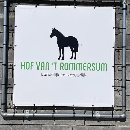 Ontwaken Tussen De Paarden Bed & Breakfast Zoutleeuw