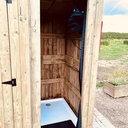 Ontwaken Tussen De Paarden